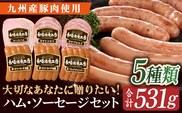 長崎浪漫工房 九州産豚肉使用ハム・ソーセージ詰合せ 計5種 6パック531g   [OCQ006] / ハム ソーセージ  ハムセット ハム食べ比べ おつまみ ロースハム 熟成ハム ビアブルスト ポークソーセージ 豚肉 熟成肉 詰め合わせ セット 贈答 ギフト ウインナー ソーセージ