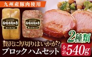 長崎浪漫工房 九州産豚肉使用ハム詰合せ 計2種 540g [OCQ007] / ハム 食べ比べ セット ロースハム 熟成ハム ブロックハム 熟成肉 豚肉 ハムブロック 詰め合わせ 贈答 ギフト おつまみ 高級ハム スライス用ハム 厚切りはむ