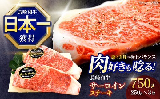 長崎和牛サーロインステーキ 約750g(250g×3枚)【株式会社 黒牛】[OCE047] / 牛肉 さーろいん サーロインステーキ ステーキ肉 さーろいんすてーき サーロイン肉 ステーキ すてーき