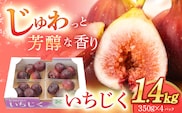 【9/30まで！】朝獲れ ほぼ完熟 いちじく 約300g×4パック【田崎FARM】[OCU004] / いちじく 無花果 イチジク 長崎県産いちじく 川棚町産無花果 肉厚イチジク いちじく ふるーつ フルーツ 果物 くだもの いちじく