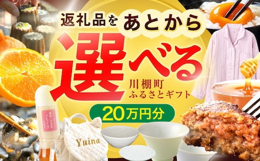【あとから選べる】川棚町ふるさとギフト 20万円分 長崎県 川棚町 [OZZ020]