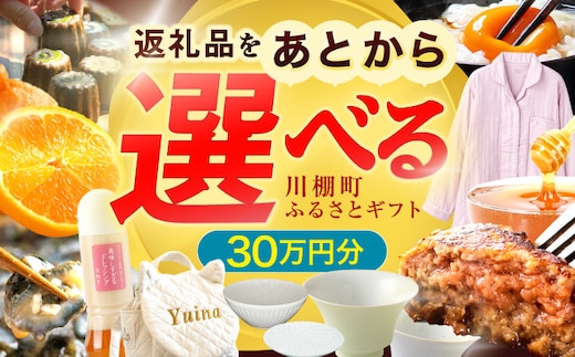 【あとから選べる】川棚町ふるさとギフト 30万円分 長崎県 川棚町 [OZZ021]