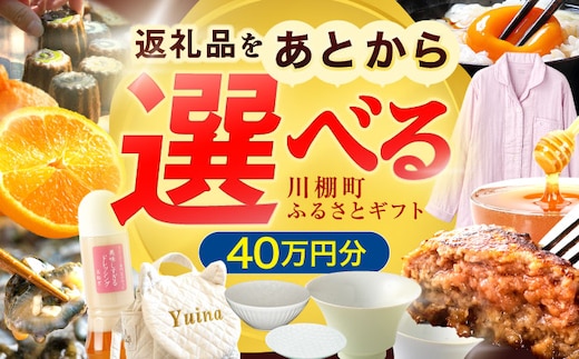 【あとから選べる】川棚町ふるさとギフト 40万円分 長崎県 川棚町 [OZZ022]