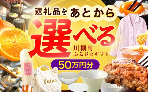 【あとから選べる】川棚町ふるさとギフト 50万円分 長崎県 川棚町 [OZZ023]