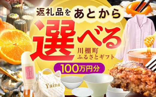 【あとから選べる】川棚町ふるさとギフト 100万円分 長崎県 川棚町 [OZZ024]