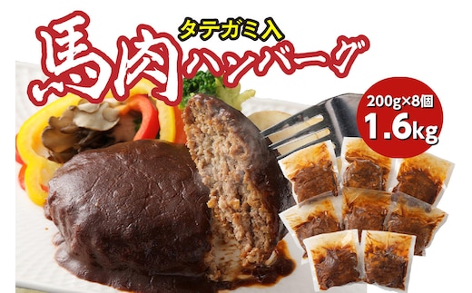 FN タテガミ入り 馬肉 ハンバーグ ( デミソース ) 8個 セット 合計約1.6kg 200g×8個 デミグラスソース ハンバーグ 馬肉 惣菜 おかず 馬肉 タテガミ 真空パック 冷凍