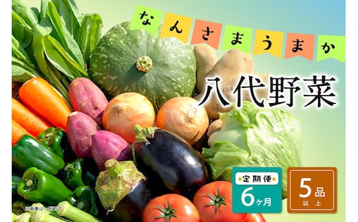 【定期便6回】なんさまうまか八代野菜セット 5品以上 やさい 詰め合わせ 熊本県産 野菜 果実 果物 くだもの フルーツ セット 季節の野菜 季節の果実 春 夏 秋 冬 旬 おまかせ 定期 国産 八代市産 熊本県