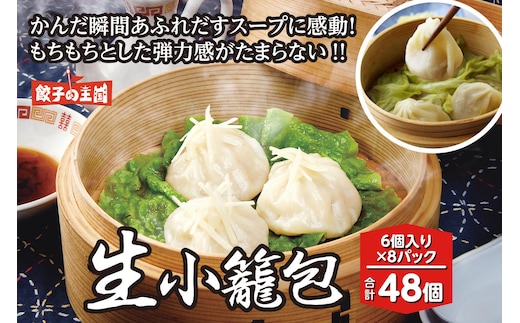 【順次発送】 八代市東陽町の生姜を使った 餃子の王国 生小籠包 48個
