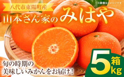 【先行予約】 八代市東陽産 山本さん家の「 みはや 」 5kg みかん 柑橘 フルーツ 果物 果実 ミカン 蜜柑 熊本県 八代市 【2026年12月上旬より順次発送】