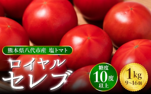 【先行予約】 くまもと塩トマト 「ロイヤルセレブ」 約1kg トマト とまと 新鮮 サラダ 野菜 やさい 特産品 熊本県 八代市 【2027年1月上旬より順次発送】