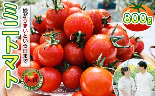 嫁がうまいと言う日まで ミニトマト 800g 八代市産 ミニトマト 新鮮 野菜