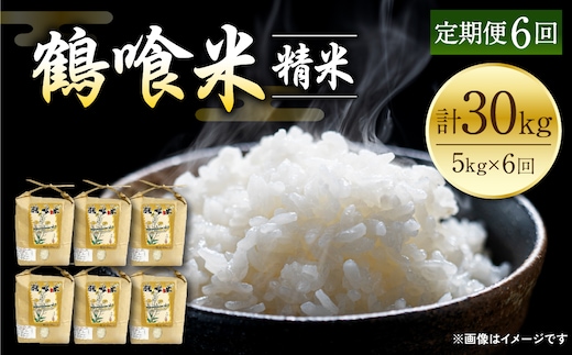 【定期便6回】 《令和7年産》 鶴喰米 精米5kg くまさんの輝き 米 精米 白米 熊本県産 国産
