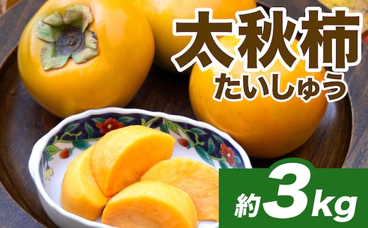 【先行予約】 太秋柿 約3kg （8～15玉） フルーツ くだもの 果物 柿 かき カキ おやつ デザート 秋の味覚 秋 旬 熊本県 八代市 【2026年10月上旬より順次発送】