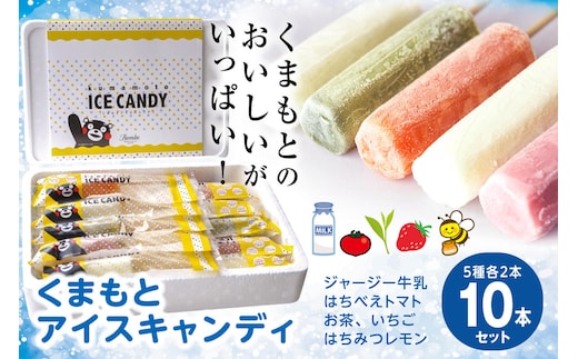くまもと アイスキャンディ 10本セット