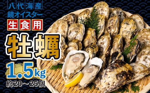 【先行予約】 牡蠣 鏡オイスター 生食用 1.5kg オイスター 生かき 新鮮 おつまみ BBQ 【2025年12月中旬より順次発送】