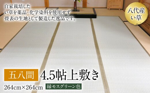 い草 上敷き 五八間 4.5帖 264cm×264cm 縁モスグリーン色 イグサ 畳 敷物 ござ マット カーペット 熊本県 八代市 特産品 国産 日本製