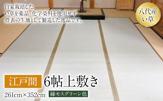 い草 上敷き 江戸間 6帖 261cm×352cm 縁モスグリーン色 イグサ 畳 敷物 ござ マット カーペット 熊本県 八代市 特産品 国産 日本製