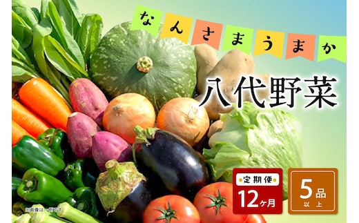 【定期便12回】なんさまうまか八代野菜セット 5品以上 やさい 詰め合わせ 熊本県産