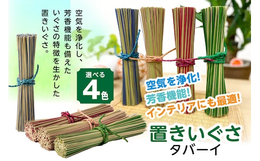 【4色から選べるカラー】置きいぐさ（タバーイ）【青】