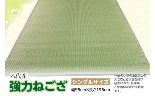 強力ねござ【シングルサイズ】幅95cm×長さ195cm 八代市産