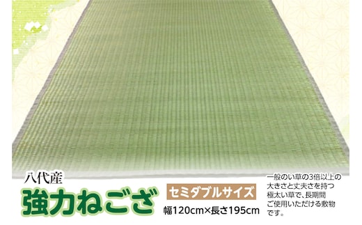強力ねござ【セミダブルサイズ】幅120cm×長さ195cm 八代市産
