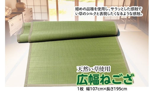 い草 広幅ねござ 幅107cm×長195cm イグサ 畳 敷物 ござ マット カーペット 熊本県 八代市 特産品 国産 日本製