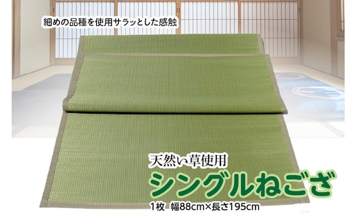 い草 シングルねござ 幅88cm×長195cm イグサ 畳 敷物 ござ マット カーペット 熊本県 八代市 特産品 国産 日本製