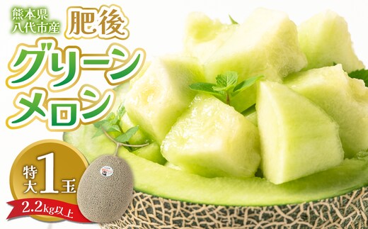 【先行予約】 熊本県八代市産 肥後グリーンメロン 特大1玉 (2.2kg以上) メロン めろん 果物 くだもの フルーツ デザート 旬 青肉 ジューシー 甘い 【2026年6月中旬より順次発送】