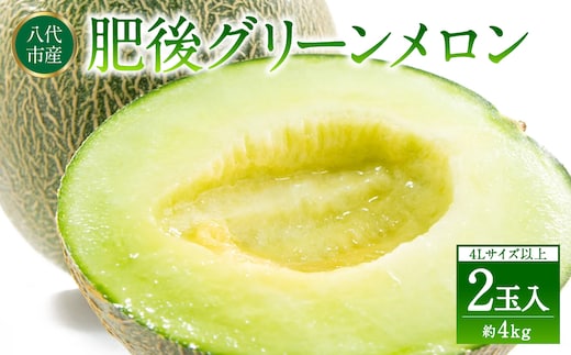【先行予約】 熊本県八代市産 肥後グリーンメロン 4L以上 2玉 約4kg 果物 くだもの フルーツ 肥後グリーン メロン 青肉メロン 【2026年6月上旬より順次発送】