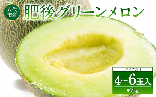 【先行予約】 熊本県八代市産 肥後グリーンメロン L以上 4～6玉 約7kg 果物 くだもの フルーツ 肥後グリーン メロン 青肉メロン 【2026年6月上旬より順次発送】