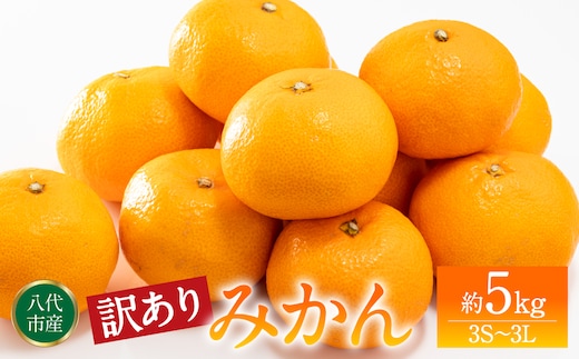 【訳あり】みかん 家庭用 (3S～3Lサイズ) 約5kg 八代市産 熊本 ご家庭用 蜜柑 ミカン 柑橘 くだもの 果物 フルーツ デザート