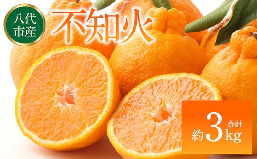 【先行予約】 不知火（デコポンと同品種） 約3kg しらぬい でこみかん 柑橘 ミカン ポンカン くだもの 果物 フルーツ 【2026年1月下旬より順次発送】