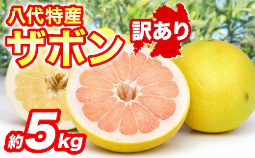 【先行予約】 【訳あり】 八代ザボン (赤肉または白肉) 約5kg (3～6玉) 果物 くだもの 果汁 柑橘 おやつ フルーツ デザート 熊本県 八代市 【2026年11月上旬より順次発送】