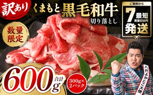 【訳あり】 くまもと黒毛和牛 切り落とし 600g（300g×2） （ 黒毛和牛 牛肉 和牛 ブランド牛 ブランド和牛 訳あり牛肉 ブランド牛肉 牛肉切り落とし ブランド牛切り落とし 小分け 熊本県産 くまもと 国産 人気 毎月数量限定 ）