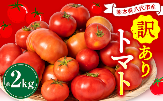 【先行予約】【訳あり】 八代市産 規格外トマト 約2kg 熊本県 八代市 特産品 規格外 トマト 野菜 やさい 新鮮 とまと 【2026年4月中旬より順次発送】