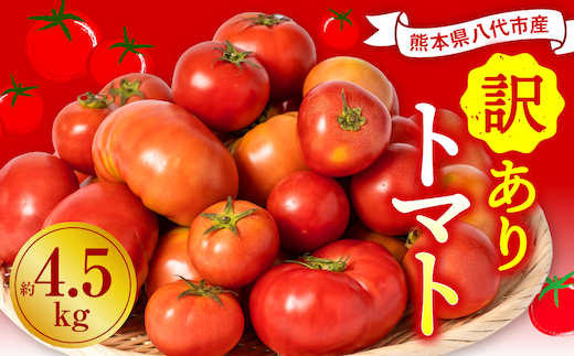 【先行予約】【訳あり】 八代市産 規格外トマト 約4.5kg 熊本県 八代市 特産品 規格外 トマト 野菜 やさい 新鮮 とまと 【2026年4月中旬より順次発送】