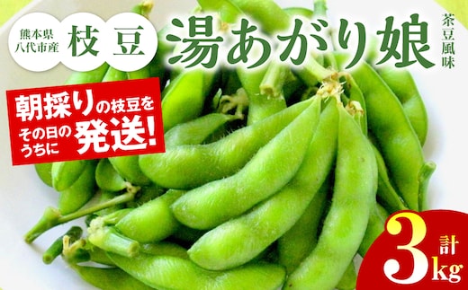 【先行予約】 熊本県八代市産 枝豆 [湯あがり娘（茶豆風味) ] 3kg おつまみ お弁当 えだまめ 茶豆 旬 エダマメ 朝採り お手軽 野菜 【2026年6月下旬より順次発送】