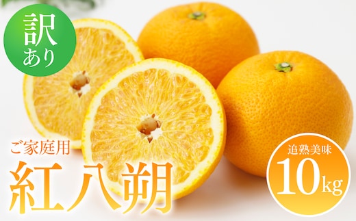 【先行予約】 【訳あり】 紅八朔 ご家庭用 約10kg 紅八朔 べにはっさく 柑橘 かんきつ 八朔 はっさく 果物 くだもの フルーツ 熊本県 八代市 【2027年2月上旬より順次発送】