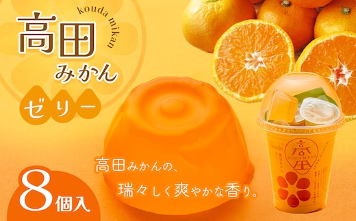 高田みかんゼリー 8個入
