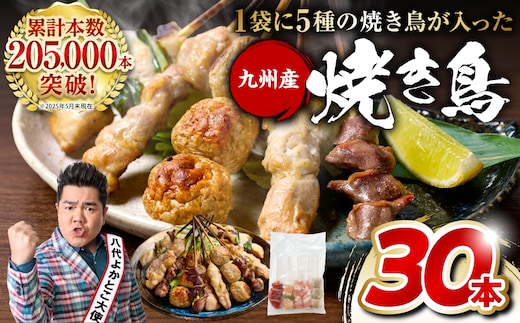 やきとり5種 30本セット お試しサイズ！ 国産 鶏肉 串 九州産 冷凍 小分け ねぎま とろ もも 砂肝 つくね