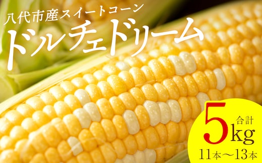 【先行予約】 スイートコーン5kg(11本～13本) ドルチェドリーム とうもろこし コーン 野菜 やさい 新鮮 冷蔵 BBQ おつまみ 【2026年5月中旬より順次発送】