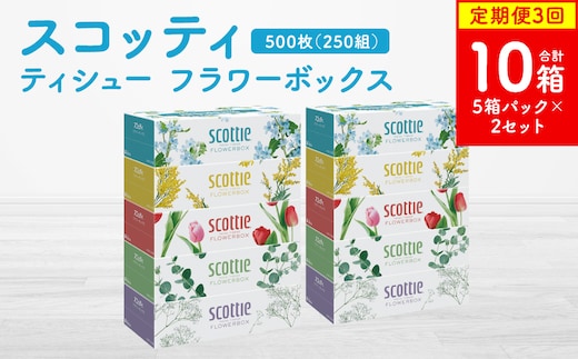 【定期便3回】【毎月お届け】【スコッティ】ティシュー フラワーボックス 250組 5箱パック×2セット 合計10箱 ティッシュ 日用品 生活必需品