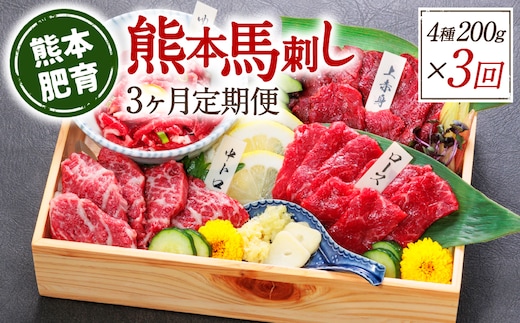 【定期便3回】熊本馬刺し 馬刺し4種 200g×3ヵ月 馬肉 熊本名物 馬刺し 馬 肉 生食 上赤身 中トロ ロース ユッケ 食べ比べ