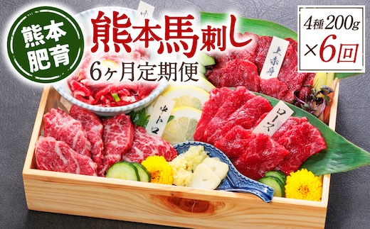 【定期便6回】熊本馬刺し 馬刺し4種 200g×6ヵ月 馬肉 熊本名物 馬刺し 馬 肉 生食 上赤身 中トロ ロース ユッケ 食べ比べ