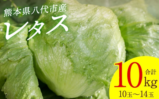 レタス10kg (10玉～14玉) 野菜 葉物 やさい サラダ 付け合せ 新鮮 産地直送 冷蔵