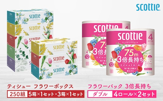 【スコッティ】ティシュー フラワーボックス 250組（5箱パック×1セット・3箱パック×1セット）＋フラワーパック 3倍長持ち（4ロール(ダブル)パック×2セット）ティッシュ トイレットペーパー 日用品