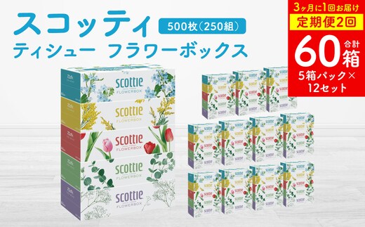 【定期便2回】【3ヶ月に1回お届け】【スコッティ】ティシュー フラワーボックス 250組 5箱パック×12セット 合計60箱 ティッシュ 日用品 生活必需品 消耗品 紙 まとめ買い ストック 備蓄