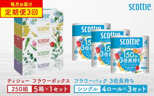 【定期便3回】【毎月1回お届け】【スコッティ】ティシュー フラワーボックス 250組（5箱パック×1セット）＋フラワーパック 3倍長持ち（4ロール(シングル)パック×3セット）ティッシュ トイレットペーパー 日用品