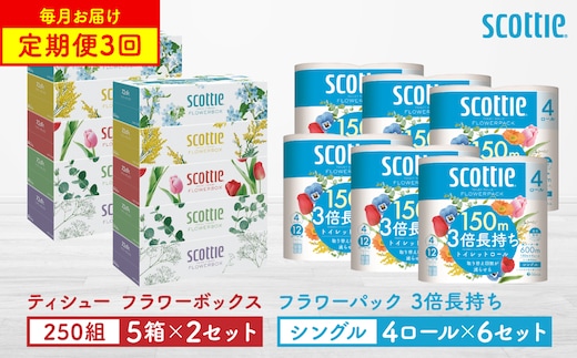 【定期便3回】【毎月1回お届け】【スコッティ】ティシュー フラワーボックス 250組（5箱パック×2セット）＋フラワーパック 3倍長持ち（4ロール(シングル)パック×6セット）ティッシュ トイレットペーパー 日用品
