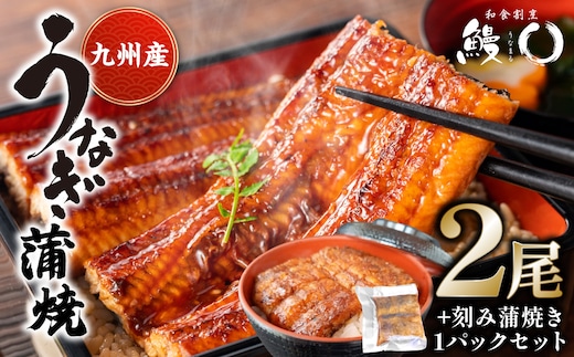鰻丸(うなまる) 九州産 うなぎ蒲焼き2尾 ＆ 刻み蒲焼き1パックセット 鰻 ウナギ うなぎの蒲焼 丑の日 秘伝タレ 無頭 うな丼 うな重 ひつまぶし